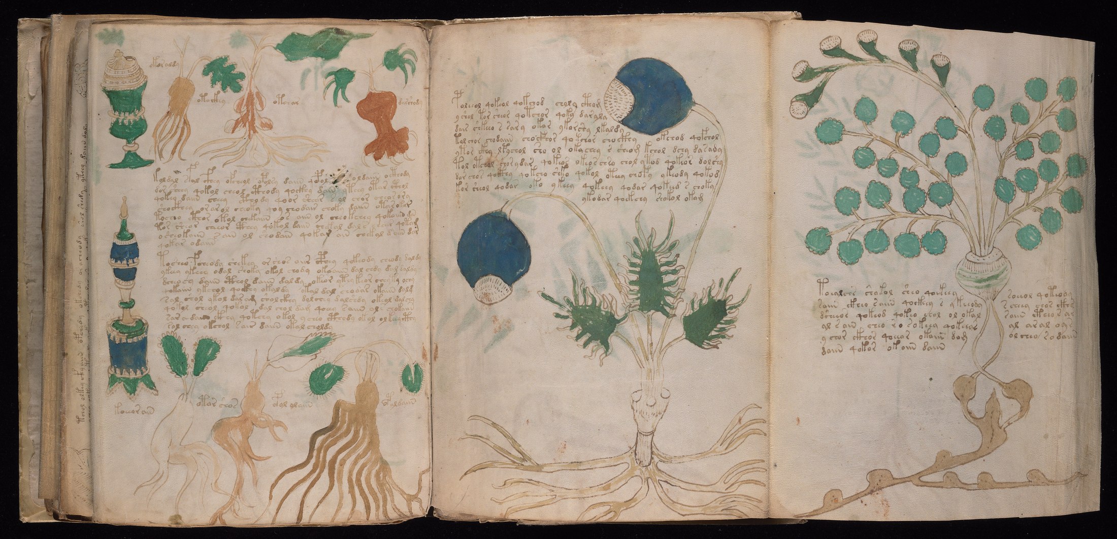 Yale manuscript view 89v (part) and 90r