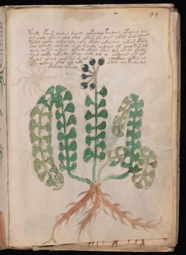 f094r