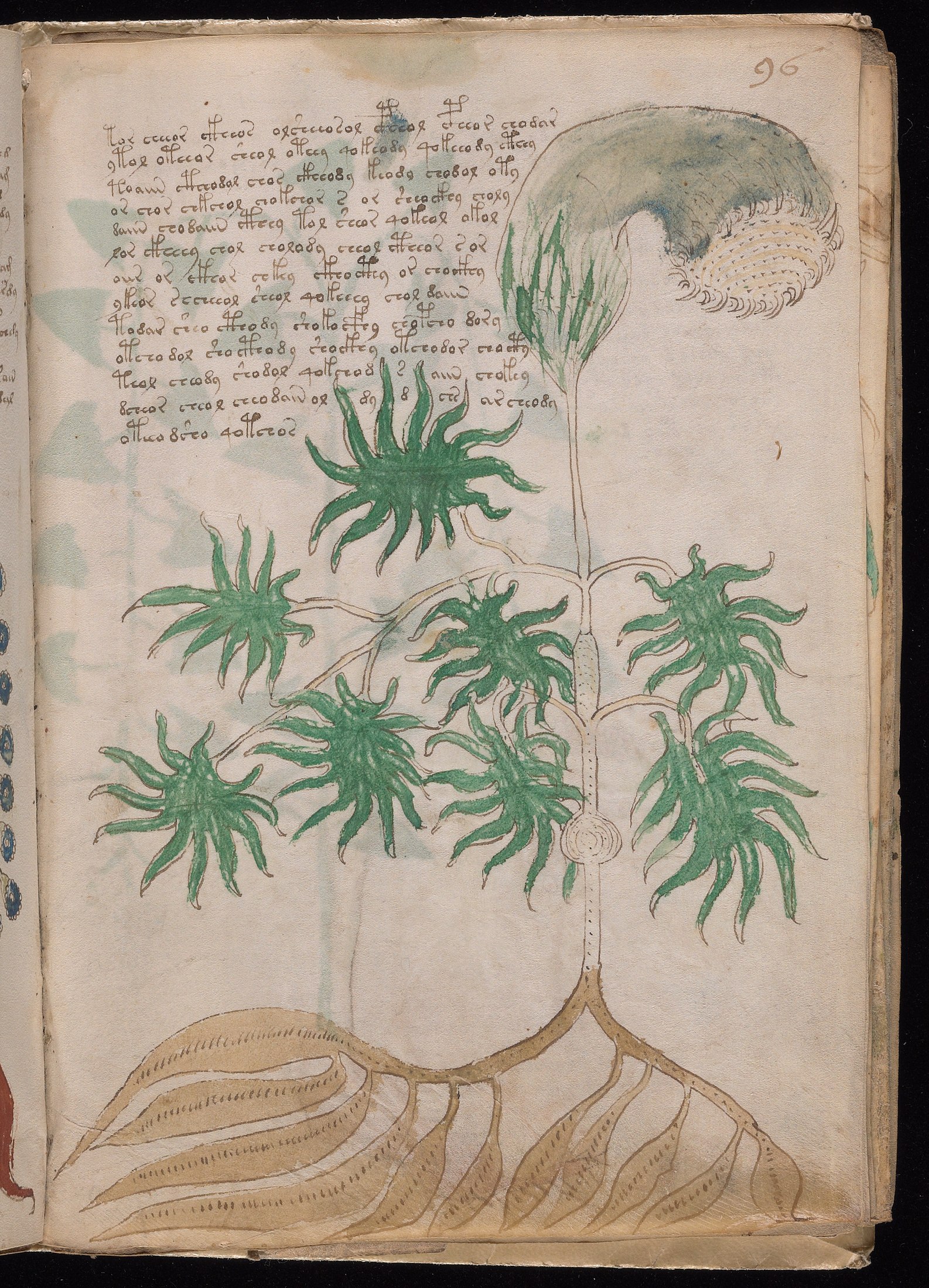 Yale manuscript view f096r