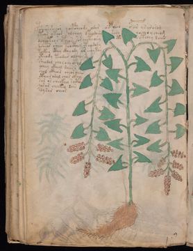 f096v