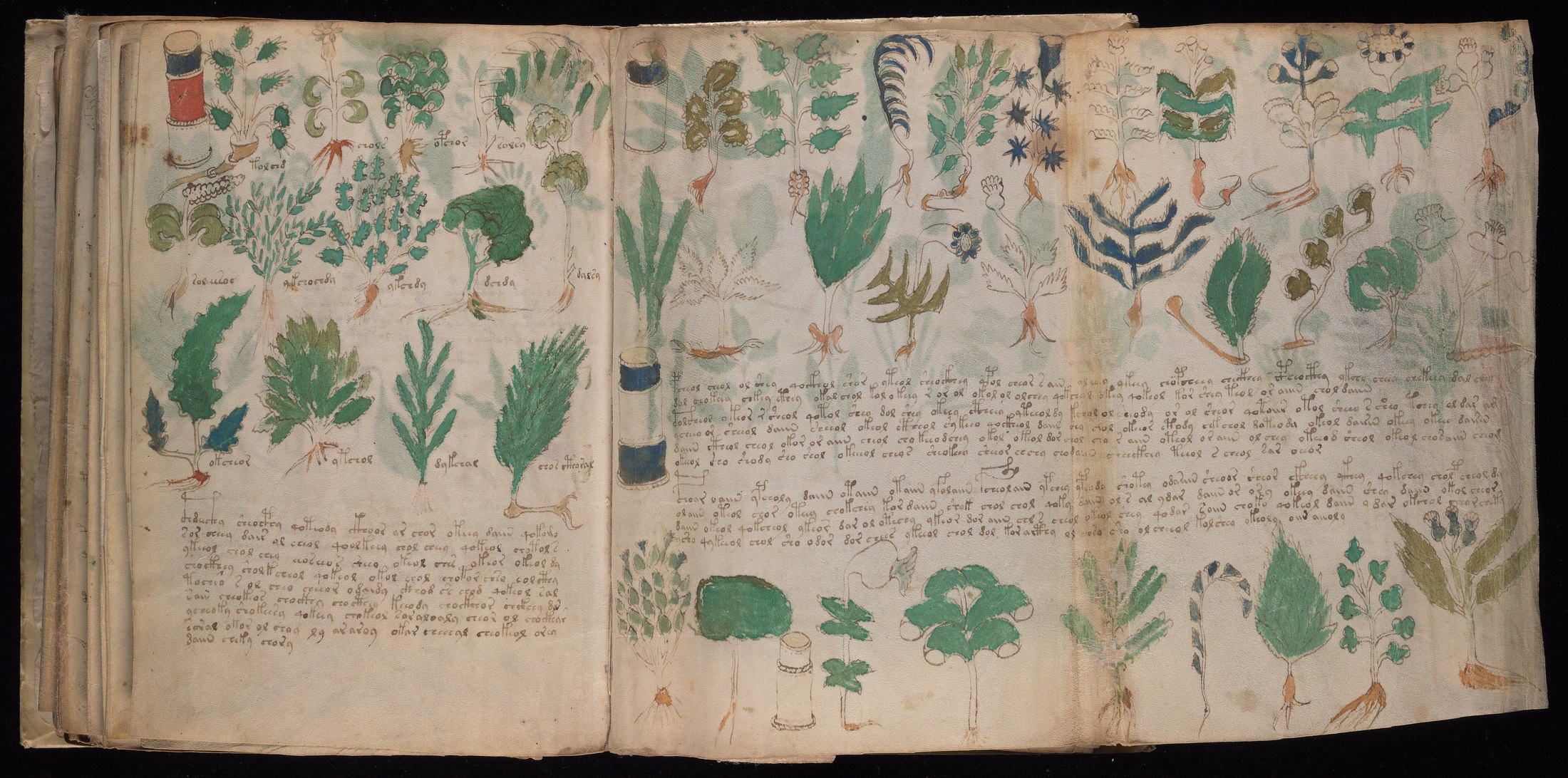 Yale manuscript view 100v and 101r