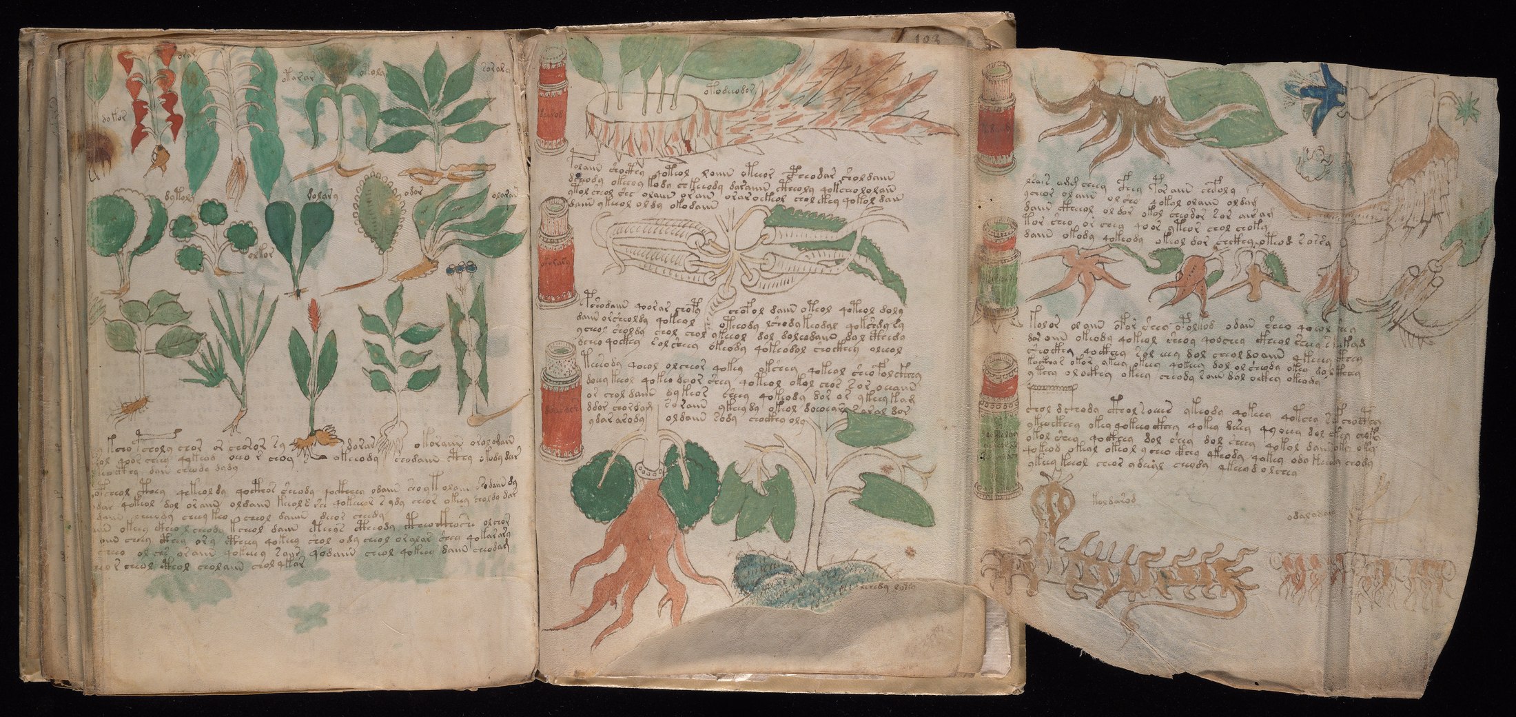 Yale manuscript view 101v (part) and 102r