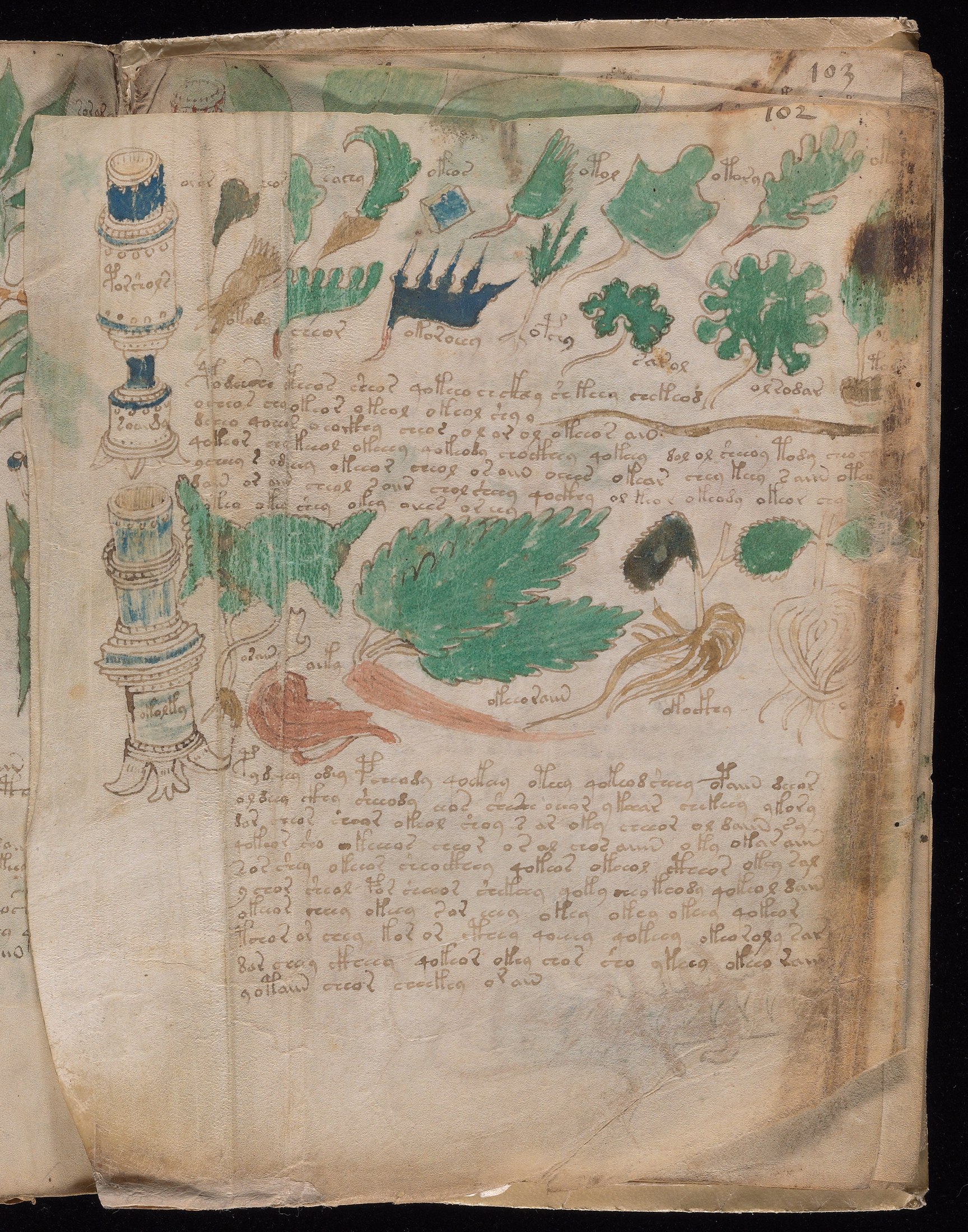 Yale manuscript view 102v (part)