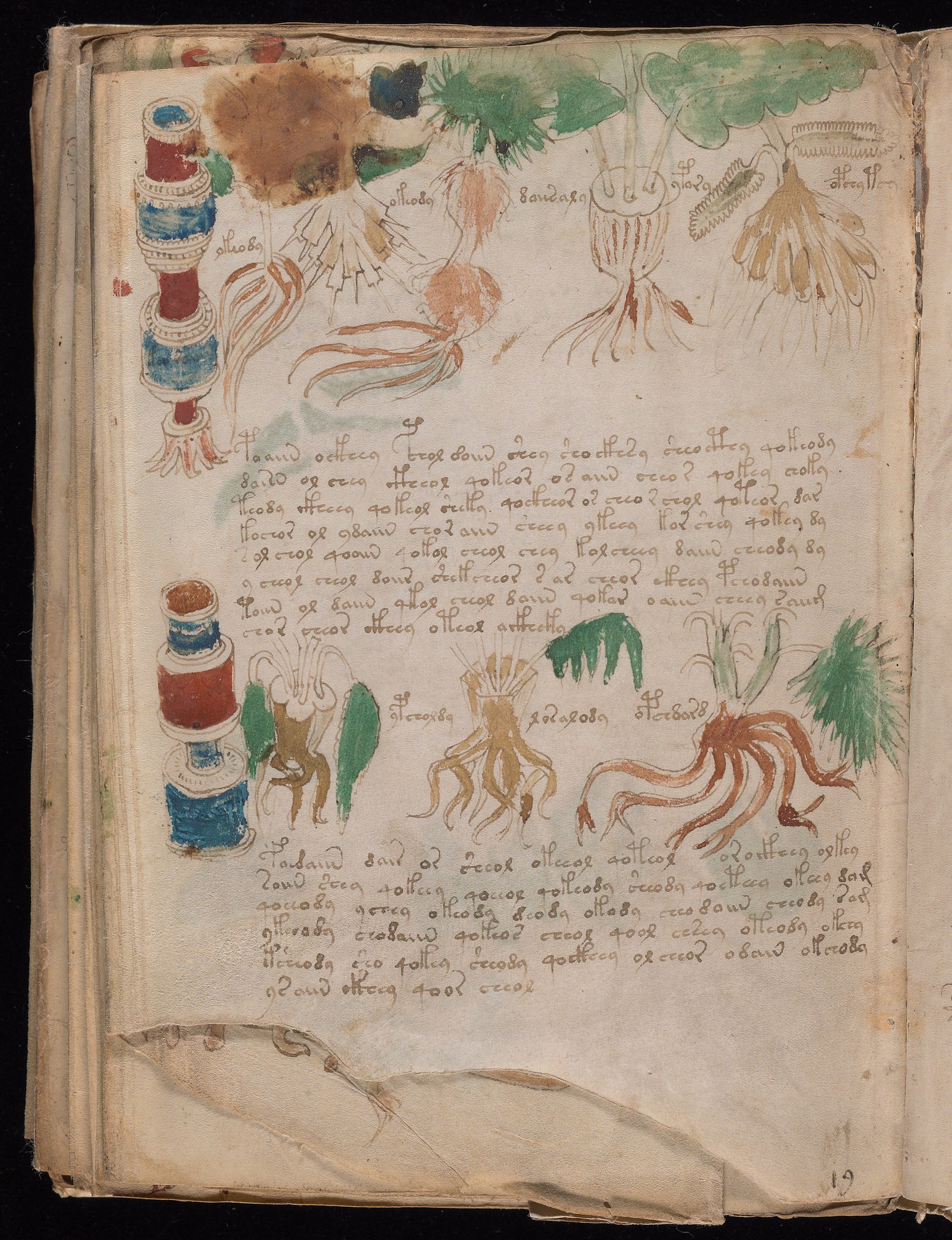 Yale manuscript view 102v (part)