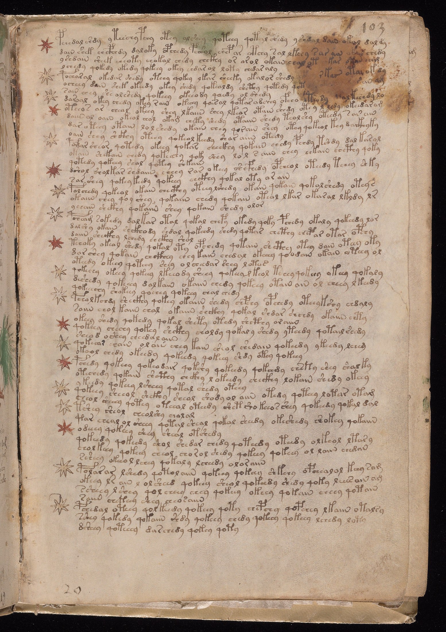 Yale manuscript view f103r