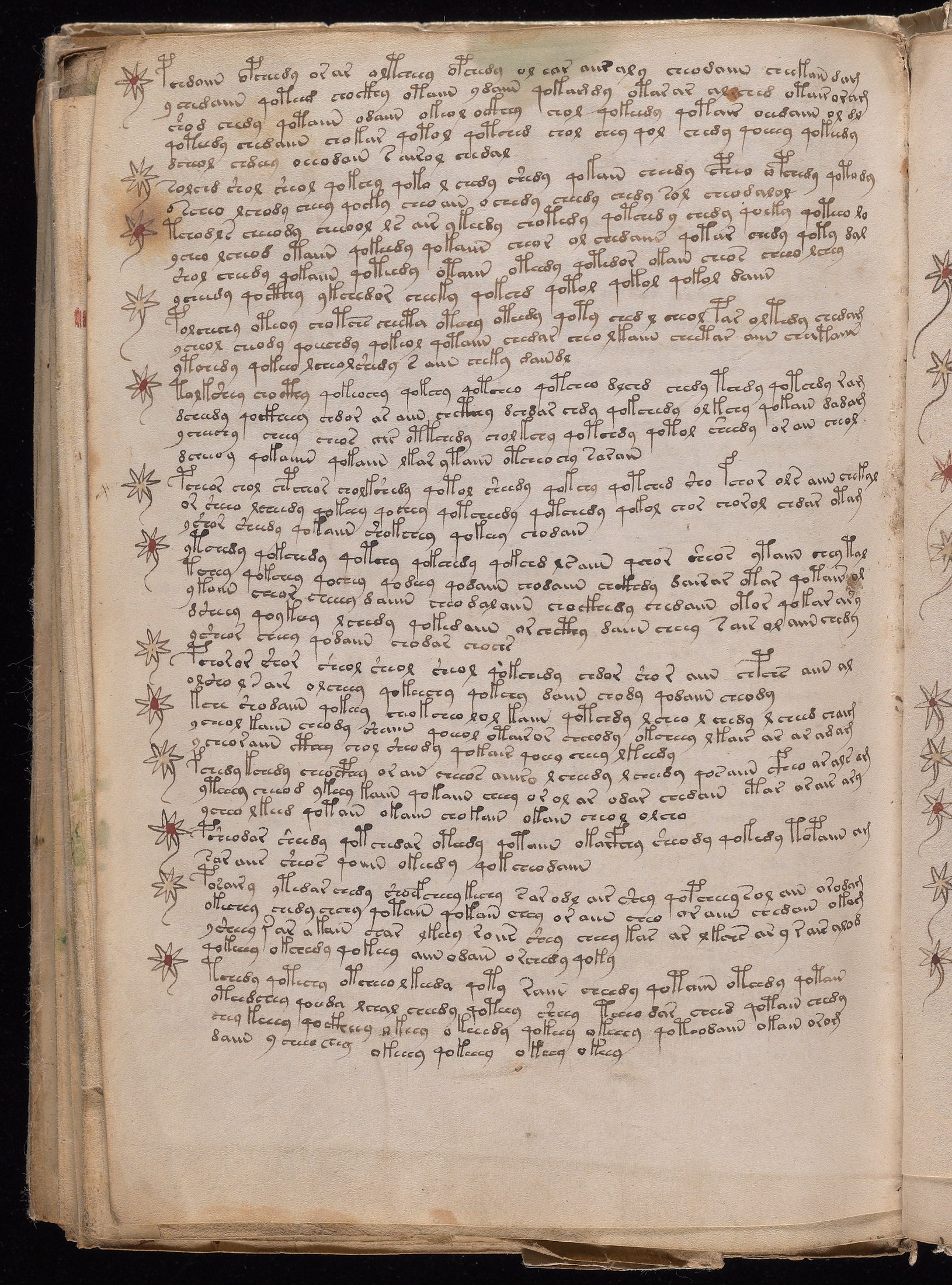Yale manuscript view f104v