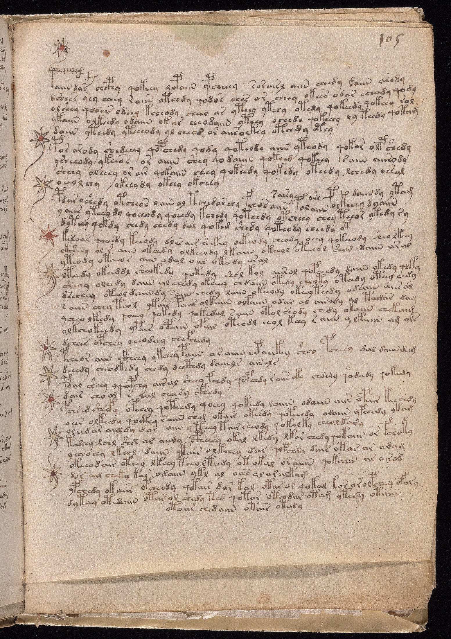Yale manuscript view f105r