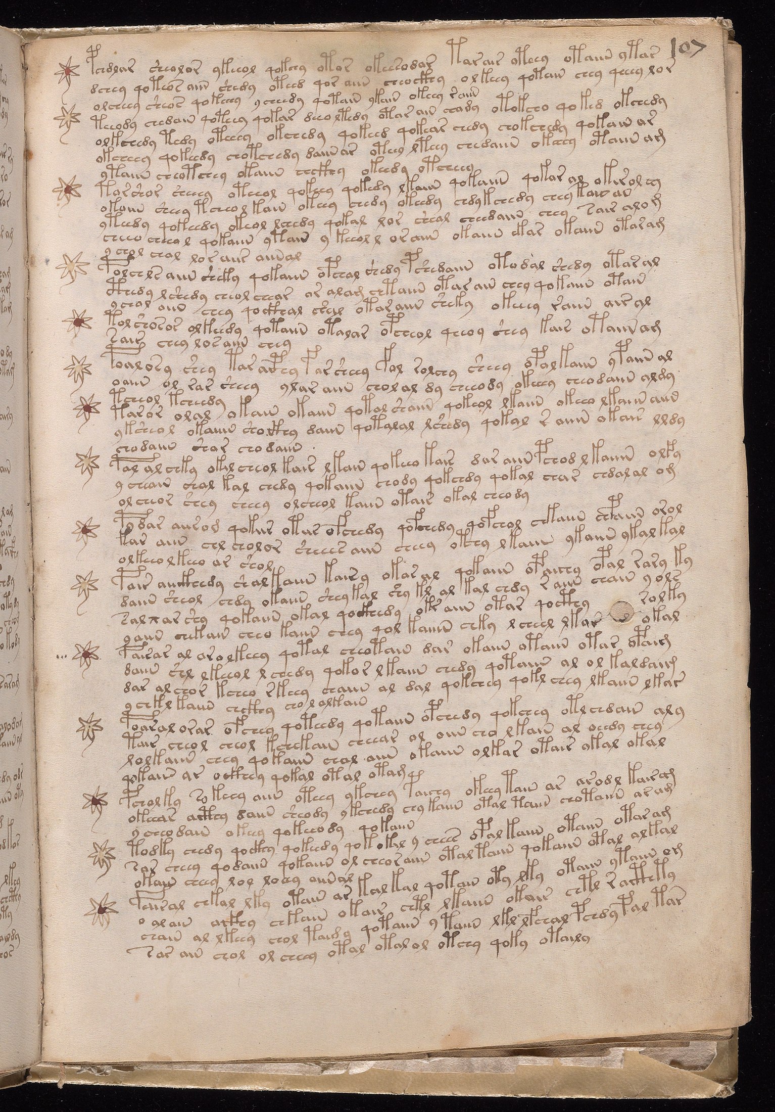Yale manuscript view f107r