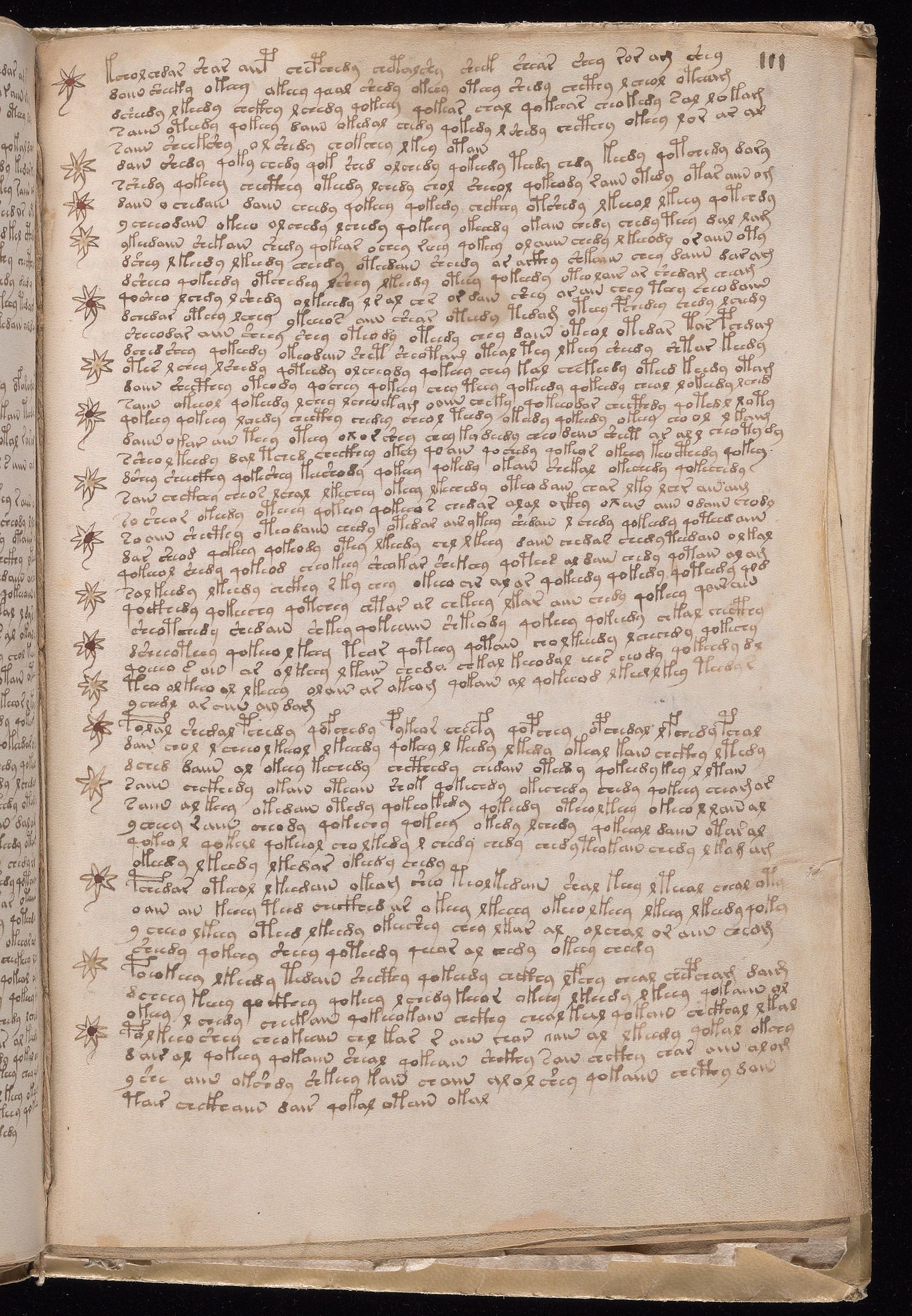 Yale manuscript view f111r