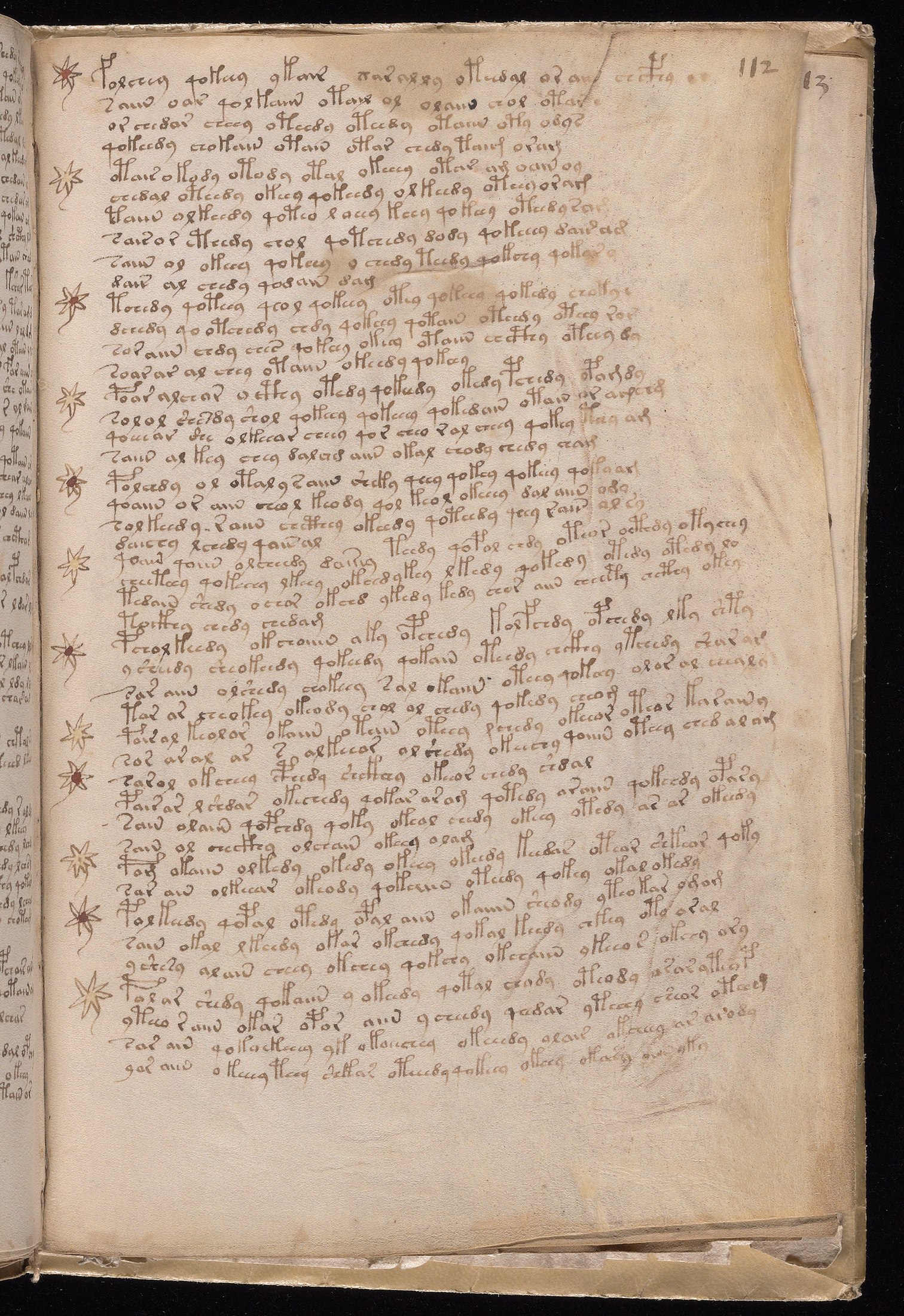 Yale manuscript view f112r