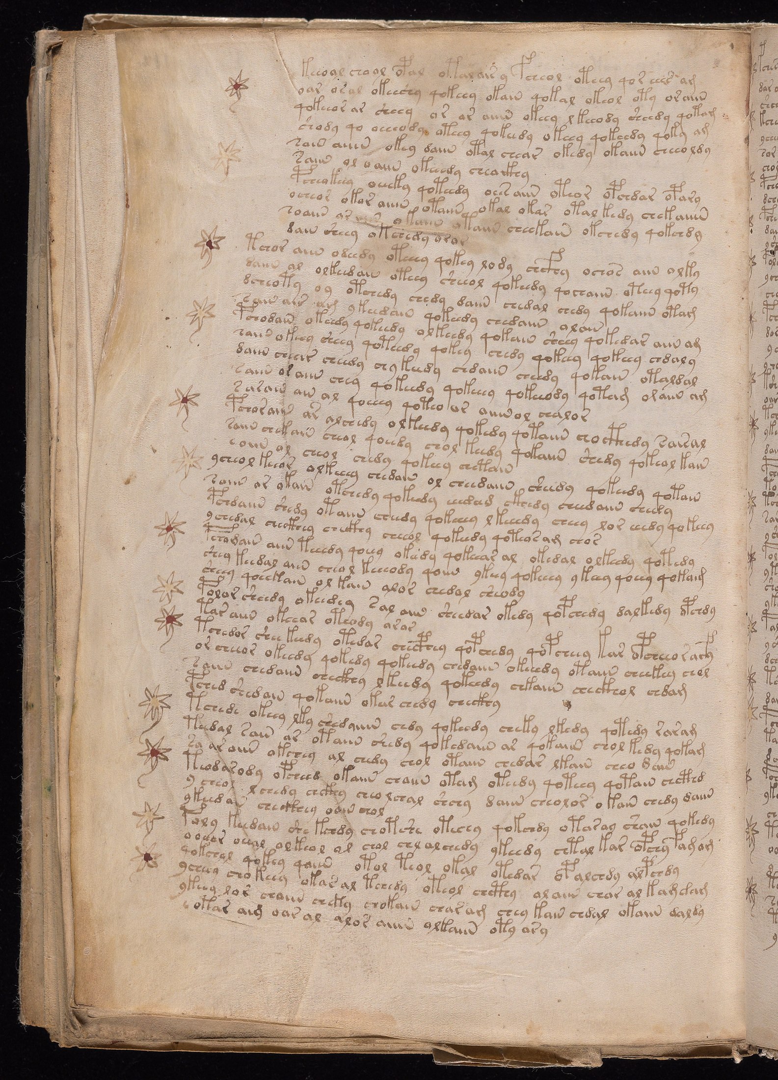Yale manuscript view f112v