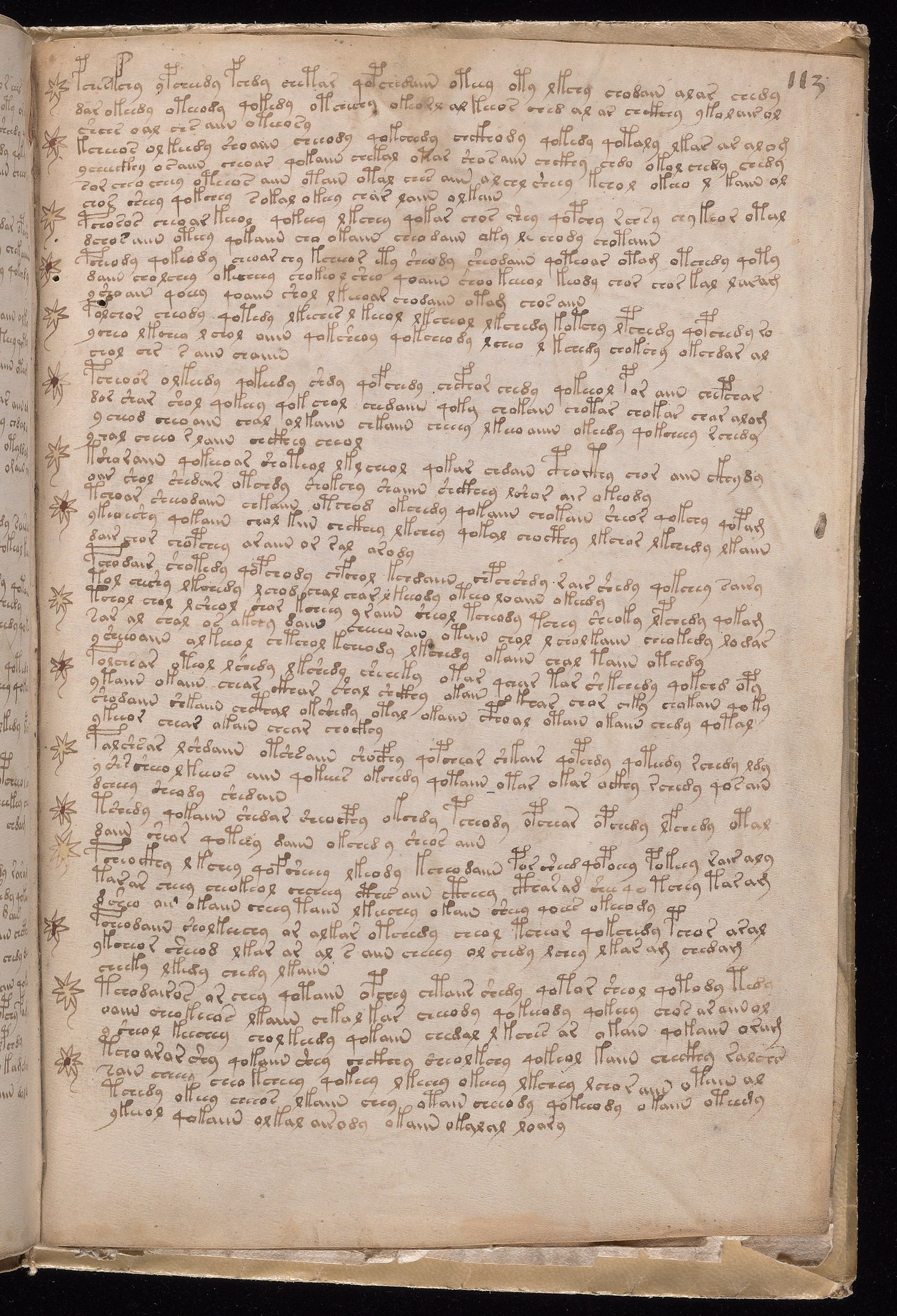 Yale manuscript view f113r
