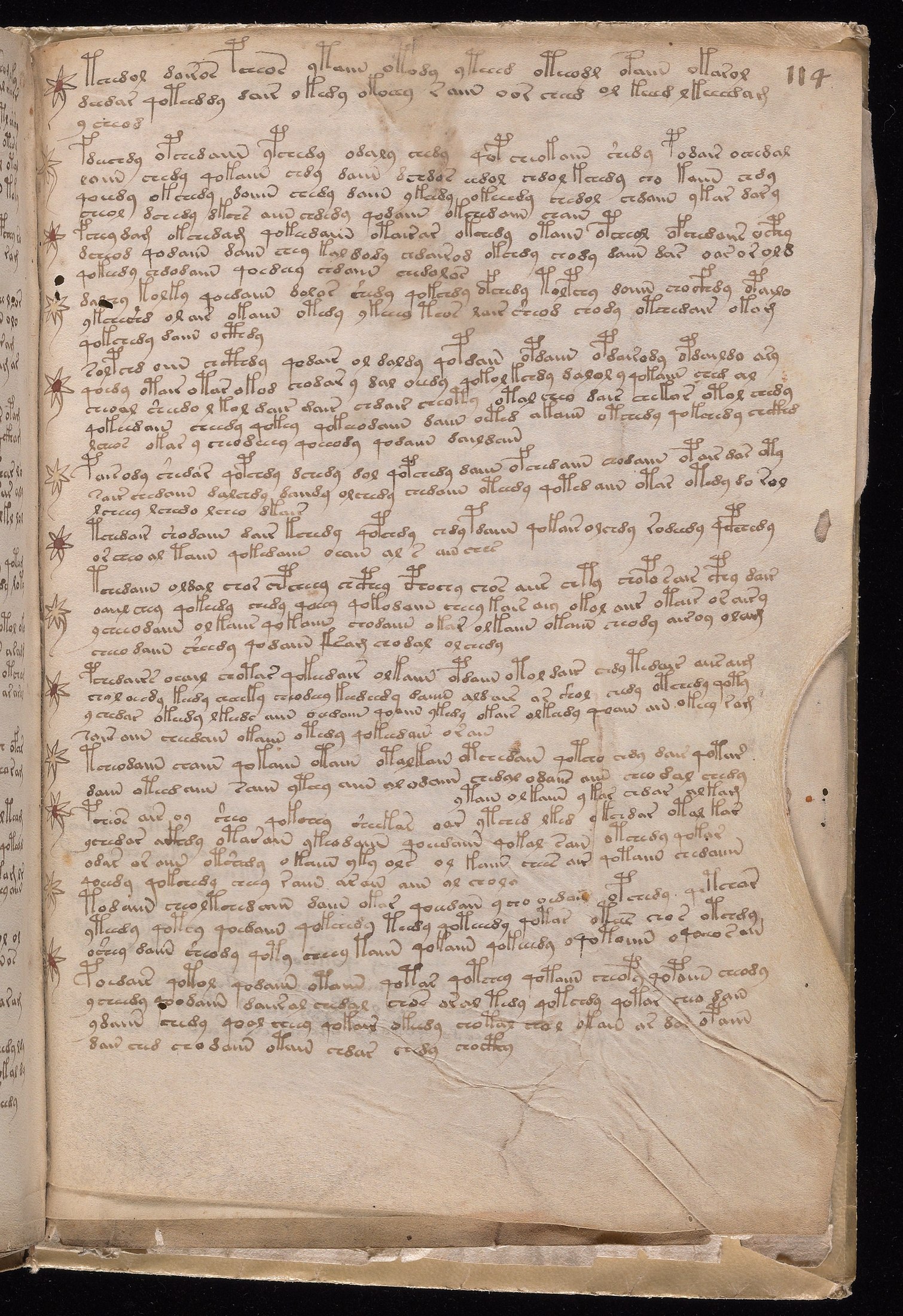 Yale manuscript view f114r