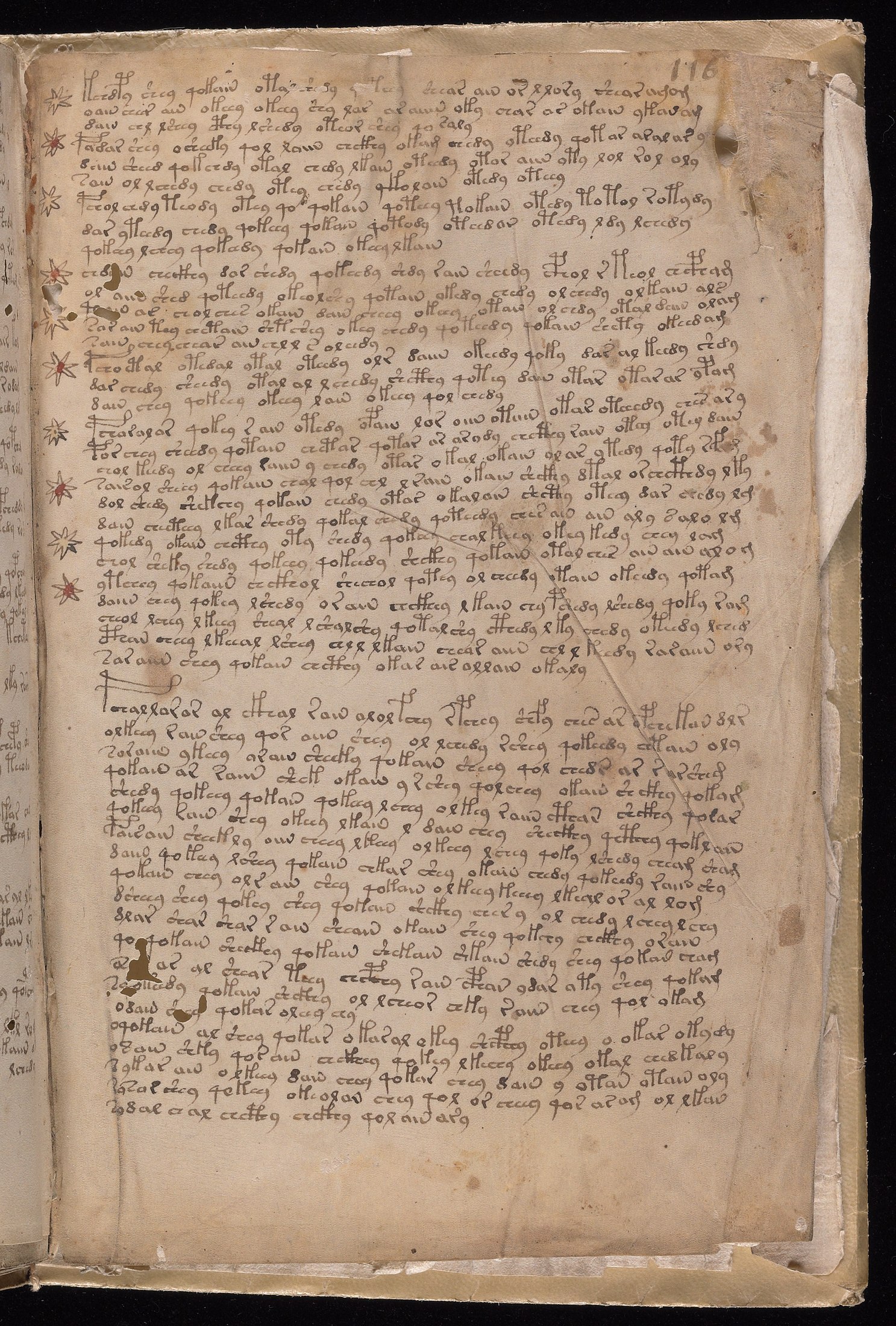 Yale manuscript view f116r