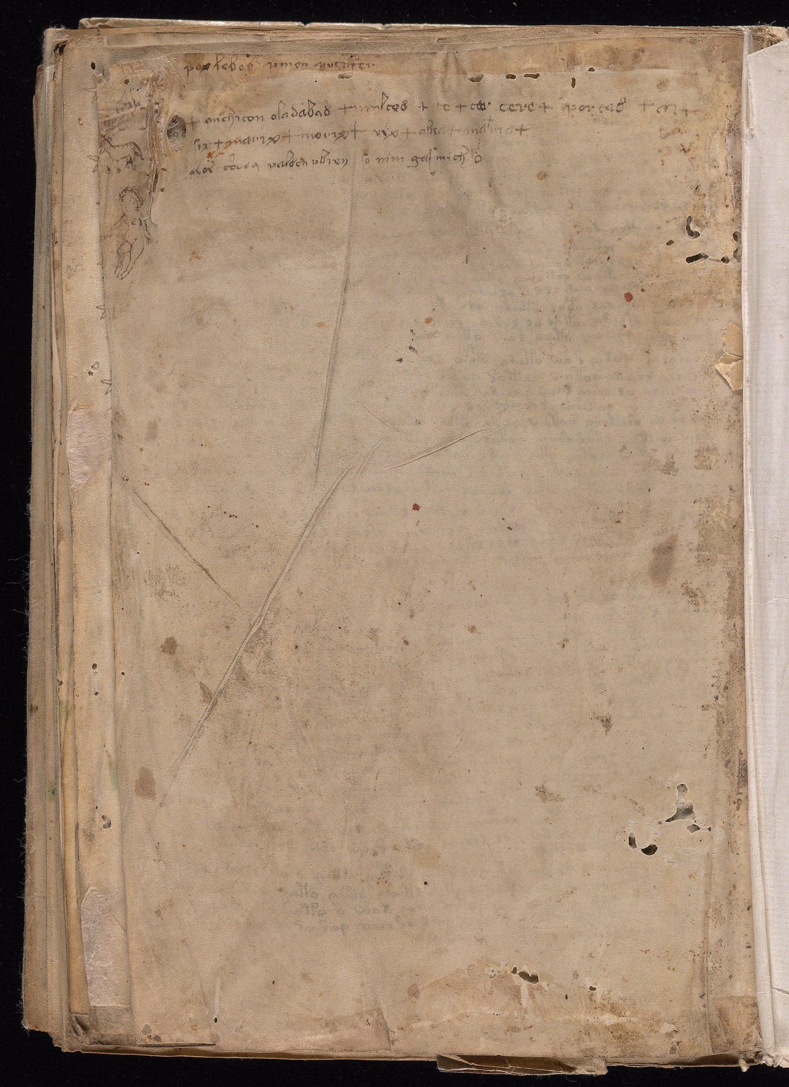 Yale manuscript view f116v